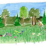 Döda Fallets Restaurang Utomhus