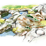 Döda Fallets Restaurang Mat