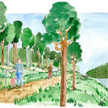 Döda Fallets Restaurang Utomhus