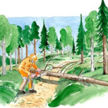 Döda Fallets Restaurang Dryck