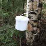 Lotties, Kök Cafe Catering Utomhus