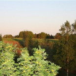 Lotties, Kök Cafe Catering Utomhus