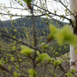 Lotties, Kök Cafe Catering Utomhus