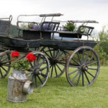 Lotties, Kök Cafe Catering Utomhus