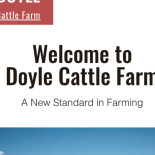 Amazing Hair Logotyp