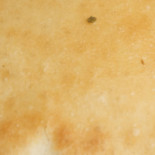 Pizzeria Lacita Dryck