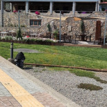 Wasa And Pub Utomhus