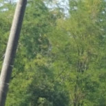 Bastard Burgers Utomhus