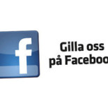 Enjoy Bowling Logotyp