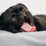 Söråkers Herrgård Dryck