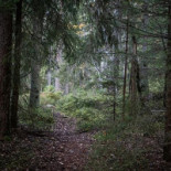 Café Trädgårn Utomhus