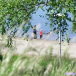 Särna Camping Utomhus