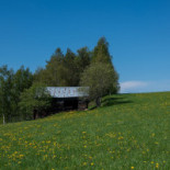 Mölens Gatukök Utomhus