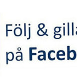 Pizzeria Mallorca Logotyp