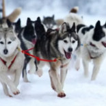 Överklintens Kvarnhotell Mat