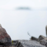 Kurjovikens Sjökrog Dryck