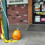 Kustnära Vandrarhem Utomhus