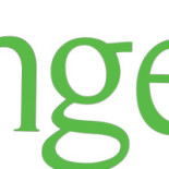 Hassans Pizzabutik Logotyp