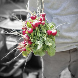 Solgardskrogen Dryck