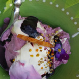 Solgardskrogen Dryck