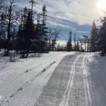 Våffelstugan Utomhus