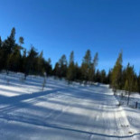 Våffelstugan Utomhus
