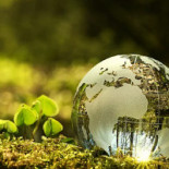 Olnispagården Dryck