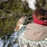 Jonas I Saelen Dryck