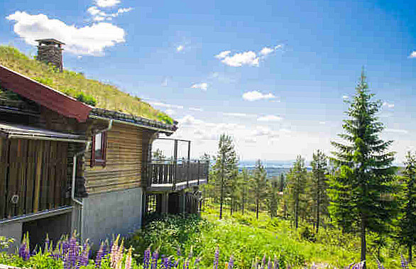 Toppstugan GrÖnklitt Utomhus