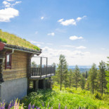Toppstugan GrÖnklitt Utomhus