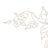 Aasundsholms Golf Ab Logotyp