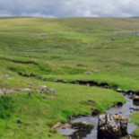 Kvarngården Utomhus