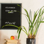 Freadals Trädgårdcafé Dryck