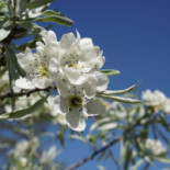 Förlandavägen Restaurang Och Försäljning Dryck
