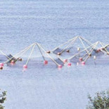 Lilla Laxen Drive In Restaurang Utomhus