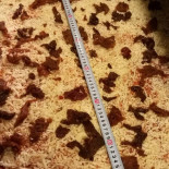 Mamma Mia Pizzeria Restaurang Mat