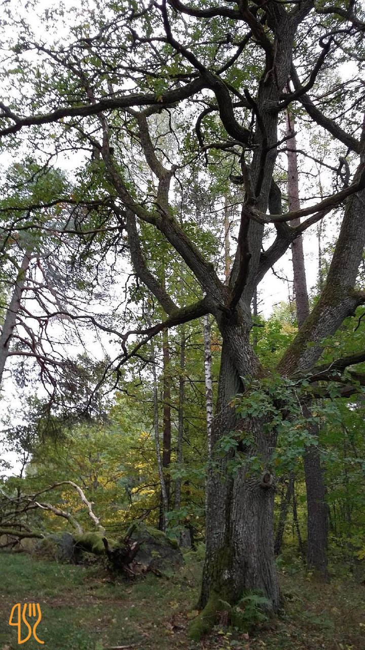 Stationen Utomhus