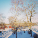 Forslundska Villan Utomhus