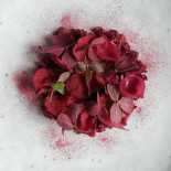 Forslundska Villan Dryck