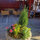 Klockargården Utomhus