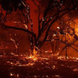 Layers By Mica Dryck