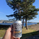 Färja Gullmarsleden (skår–finnsbo) Utomhus