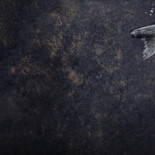 Lidingö Saluhall Dryck