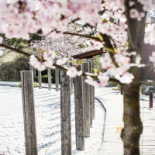 Happy Lobster Utomhus