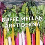 Elwing Co. Catering Utomhus