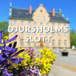 Elwing Co. Catering Utomhus