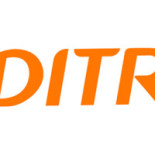 Dlish Nyttigt Och Gott Logotyp