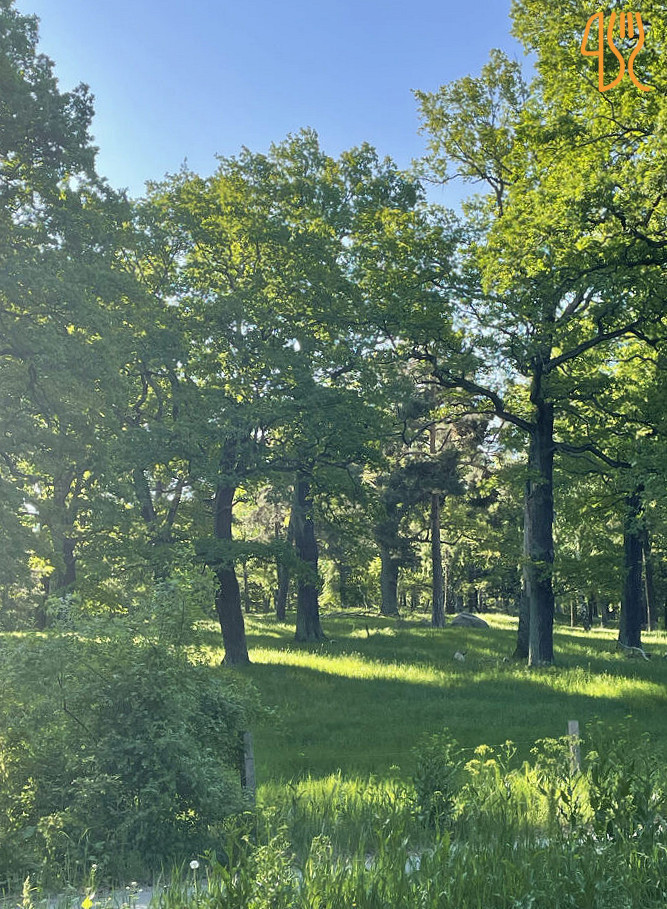 Stora Skuggans Värdshus Utomhus