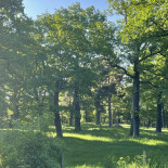 Stora Skuggans Värdshus Utomhus