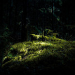 Sånga Säby Restaurang Utomhus